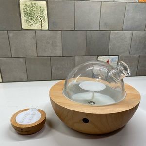 Essential oils and diffuser by Young Living with remote